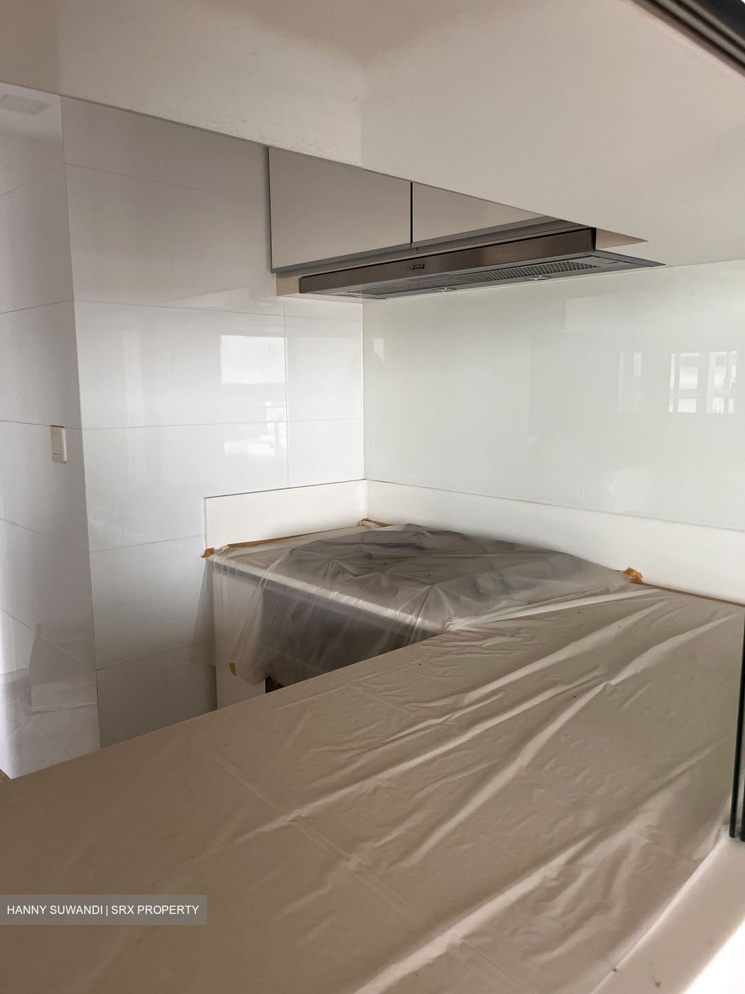 The Trizon (D10), Condominium #473139641